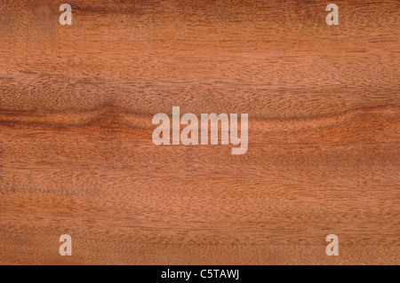 Wood surface,  West Indian locust  (Hymenaea courbaril) full frame Stock Photo