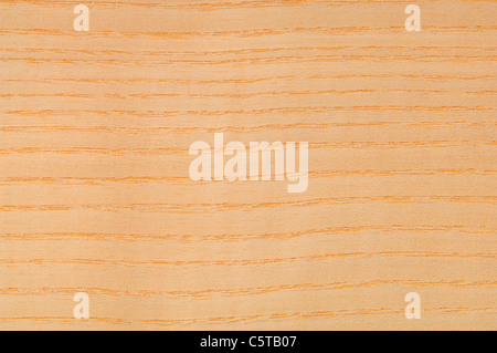 Wood surface, Ash Wood (Fraxinus excelsior) full frame Stock Photo