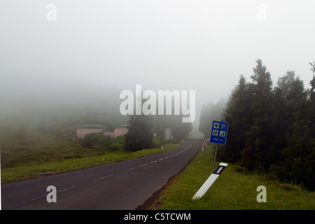 Foggy Azorean road, São Miguel island, Azores. Stock Photo