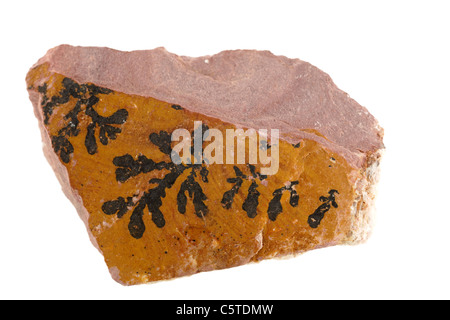 Rock sample Fougere Stock Photo
