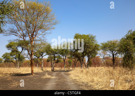 Dinder (Dindir) National Park, Northern Sudan, Africa Stock Photo