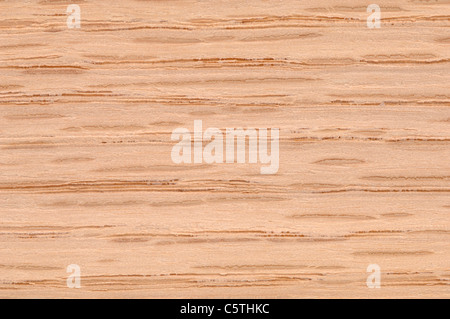 Wood surface,  American red oak (Quercus rubra) full frame Stock Photo