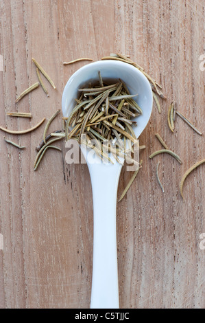 Spoonful of The Aromatic Herb, Dried Rosemary Stock Photo