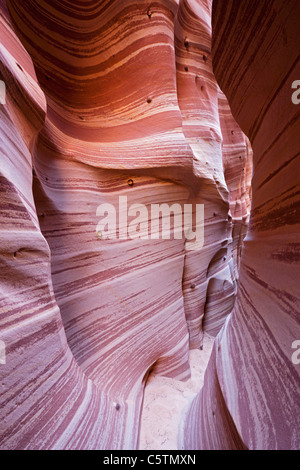 USA, Utah, Grand Staircase Escalante National Monument, Zebra slot, close-up Stock Photo