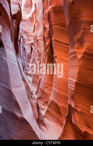 USA, Utah, Grand Staircase Escalante National Monument, Zebra slot, close-up Stock Photo