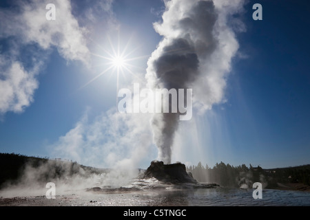 USA, Yellowstone Park, Wyoming, Castle Geyser Stock Photo