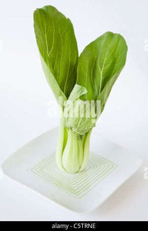 Chinese celery cabbage (Brassica rapa chinensis) on platter Stock Photo