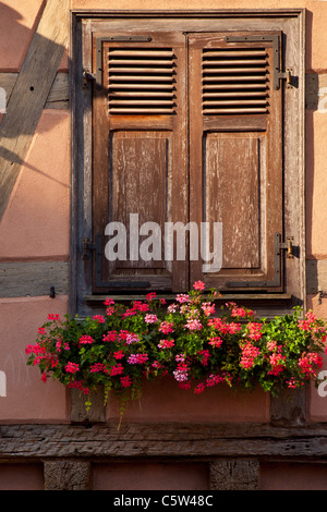 Shuttered window and flower box in Kaysersberg - along the Wine Route, Alsace Haut-Rhin France Stock Photo