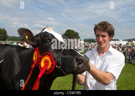 Animal, award, rosette, ribbon, competition, symbol, winner, show, head, harness, purebred, success, badge, win, winner,  Cartmel Agricultural Society 128 Annual Rural Show, 2011 in the Lake District, Cumbria, England Stock Photo