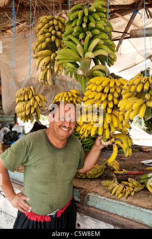 South Turkey banana tree farm bananas farmer market shop between Antalya and Alanya Stock Photo