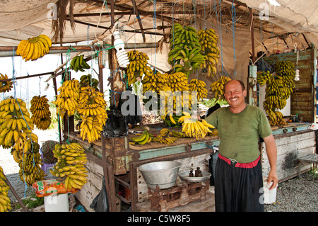 South Turkey banana tree farm bananas farmer market shop between Antalya and Alanya Stock Photo