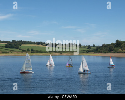 Dinghy racing on Wimbleball Lake. Somerset. UK Stock Photo