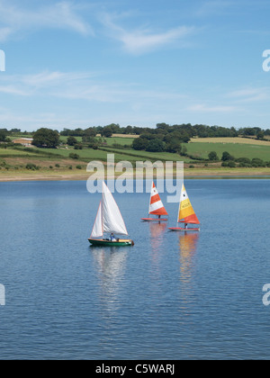 Dinghy racing on Wimbleball Lake. Somerset. UK Stock Photo