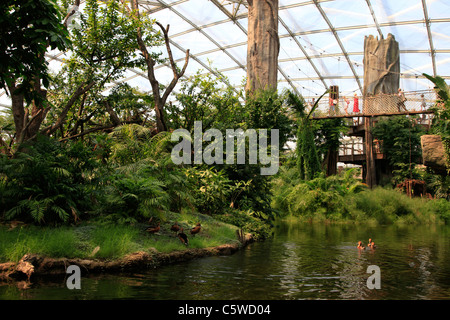 Interior of the Gondwanaland Huge tropical Rainforest's hall at the Leipzig Zoological Garden or the Leipzig Zoo Eastern Germany Stock Photo