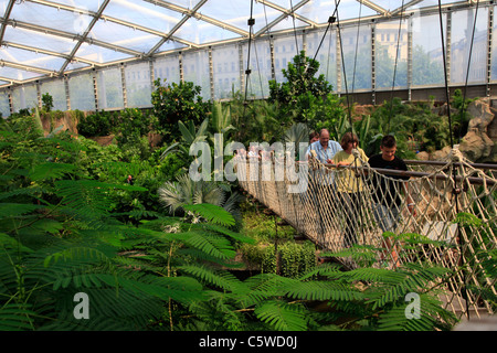 Interior of the Gondwanaland Huge tropical Rainforest's hall at the Leipzig Zoological Garden or the Leipzig Zoo Eastern Germany Stock Photo
