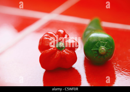 Red bell pepper and chili pod on red tiles Stock Photo