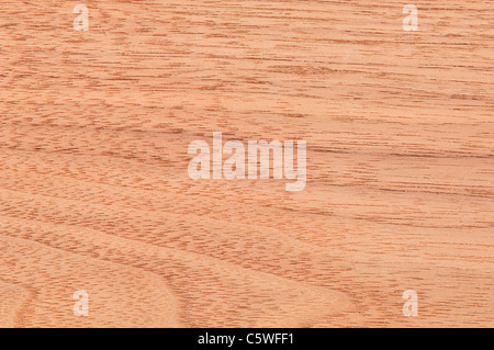 Wood surface,  Black Walnut  (Juglans nigra) full frame Stock Photo