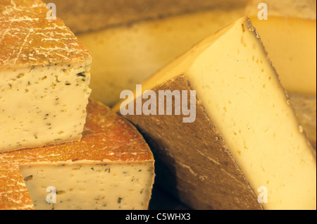France, Alsace, Assortment of cheese, close up Stock Photo