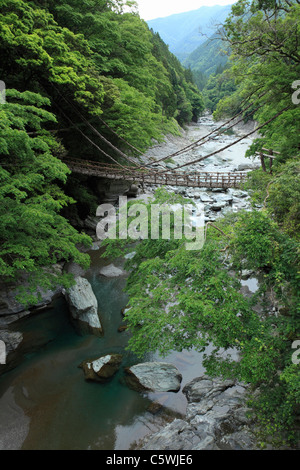 A Vine Bridge in Iya Valley, Miyoshi, Tokushima Prefecture, Japan Stock ...