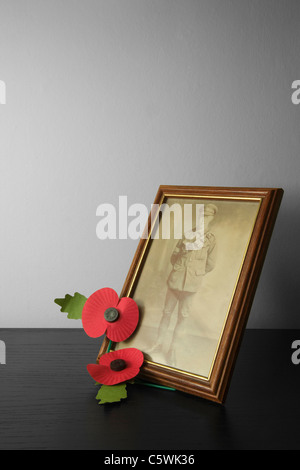 Memorial Poppies next to a photo of a world war one solder Stock Photo