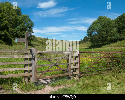 South Downs Way at Amberley West Sussex England Stock Photo