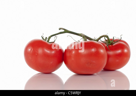 Tomatoes on white background isolated with clipping path. Stock Photo