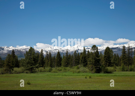 Swan Mountain Range, Rockies, MT