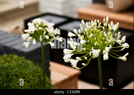 'Minimal Impact' show garden at RHS Tatton Park Flower Show 2011 Stock Photo