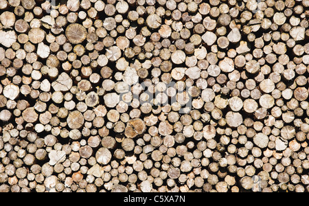 Stack of logs Stock Photo
