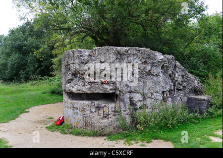 Ruin of First World War One German WWI pillbox on Hill 60, 14-18 site at Zillebeke, West Flanders, Belgium Stock Photo