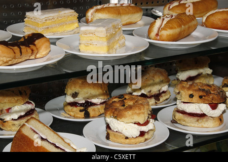 Selection of cakes in cafe. Tropical Butterfly House, Wildlife & Falconry Centre, North Anston, South Yorkshire, England Stock Photo