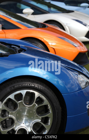 Close up view of luxury sports cars for sale at the Cholmondeley Pageant of Power. Stock Photo