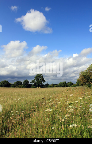Tolworth Court Farm, Surrey, England, UK. 10th May 2014. It was a day ...