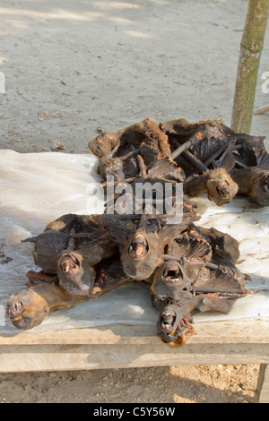 Smoked monkeys at a rural bushmeat market, Tshopo province in the Democratic Republic of the Congo