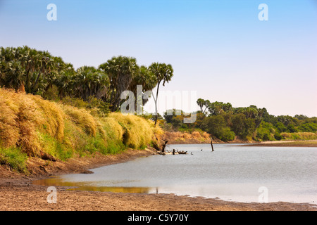 Dinder (Dindir) National Park, Northern Sudan, Africa Stock Photo