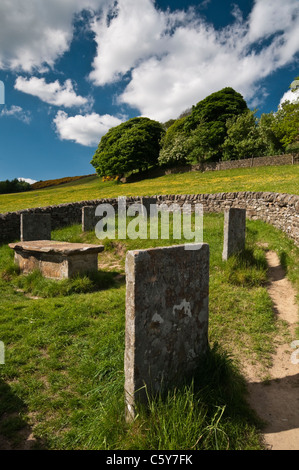 The Riley Graves are where the Hancock family, victims of the 1666 plague outbreak near Eyam, are buried, Peak District, England Stock Photo