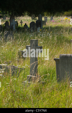 Headstones in West Brompton Cemetery in West London, England, UK. Stock Photo