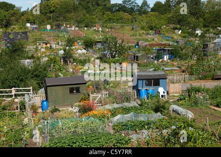 Allotment gardens in Leicester, England, U.K. Stock Photo