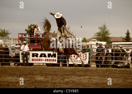 A cowboy rises out of his seat during saddle bronc riding, Eagle Rodeo, Eagle, Idaho, USA Stock Photo