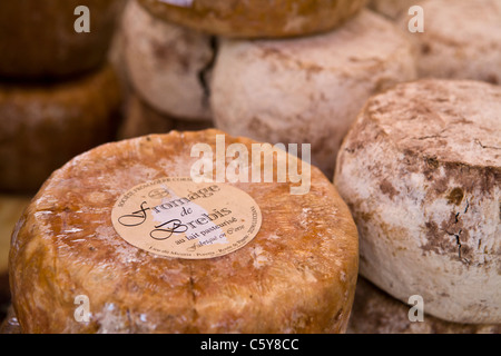 Sheep Cheese from Corsica, Ajaccio Stock Photo