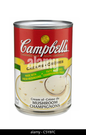 Campbells Soup, Can Tin Cream of Mushroom Soup, Campbell's Soup Stock Photo