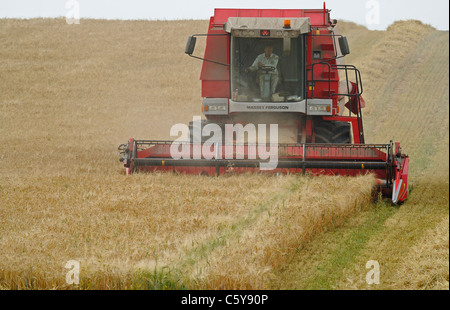 Massey Ferguson 38 Rotary Separator combined harvester harvesting a ...