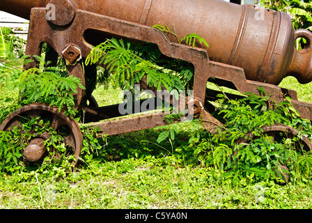 Detail of Cannon, Fort James, Antigua Stock Photo