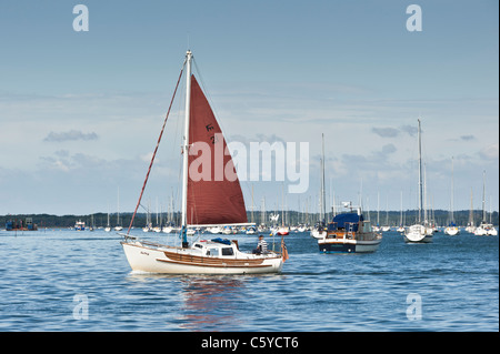 Single lone yacht sailing in Poole harbour Stock Photo
