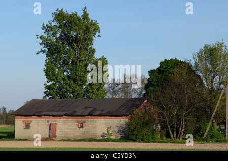 Old brick shed in a field surrounded by the trees Stock Photo