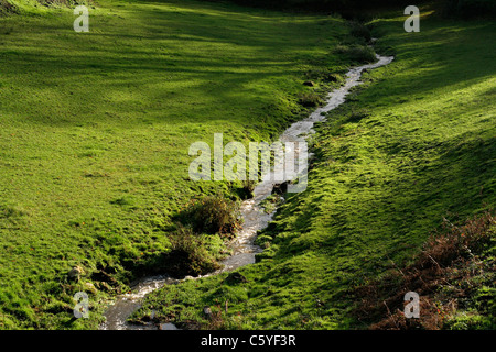 A small stream flows through a meadow (Mayenne, north, Pays de la Loire, France). Stock Photo
