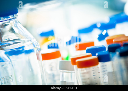 glass test tubes with colored tops on bench side in science laboratory Stock Photo