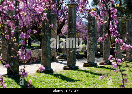 Ancient Olympia,home to Greece's Games 776 BC,Archaeological site & Museum,Gymnasium,Palaestra,Wrestling School,Katakolon,Greece Stock Photo