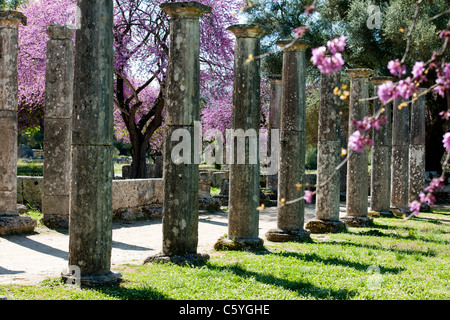 Ancient Olympia,home to Greece's Games 776 BC,Archaeological site & Museum,Gymnasium,Palaestra,Wrestling School,Katakolon,Greece Stock Photo