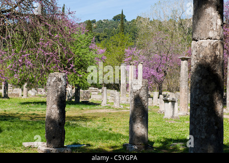 Ancient Olympia,home to Greece's Games 776 BC,Archaeological site & Museum,Gymnasium,Palaestra,Wrestling School,Katakolon,Greece Stock Photo